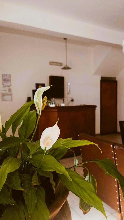 Hostal Tilian Salta Extérieur photo